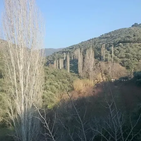 فندق مبيت وإفطار Sirince Klaseas Hotel&restaurant 4*