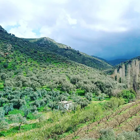 Sirince Klaseas Hotel&restaurant فندق مبيت وإفطار 4*